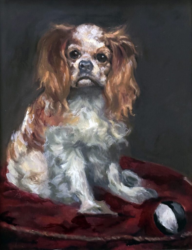 King Charles Spaniel